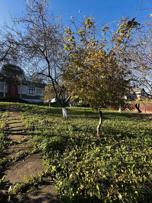 Оренда будинку в с.Стрілецький кут