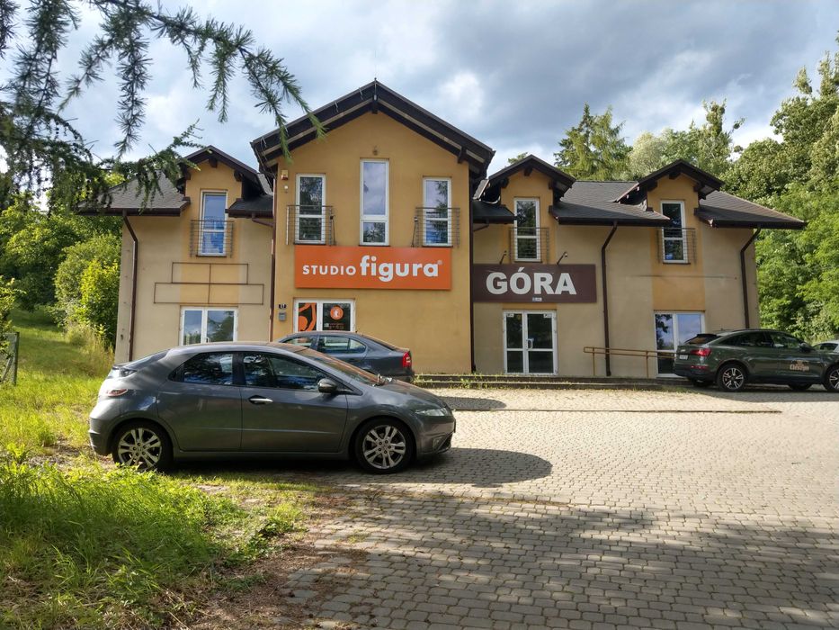 LOKAL HANDLOWO - USŁUGOWY  na parterze , w Cieszynie do wynajęcia.