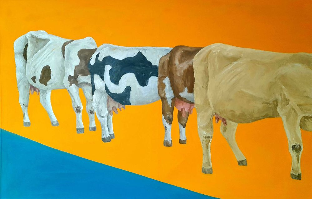 Obraz krów, płótno 80x120, farby olejne