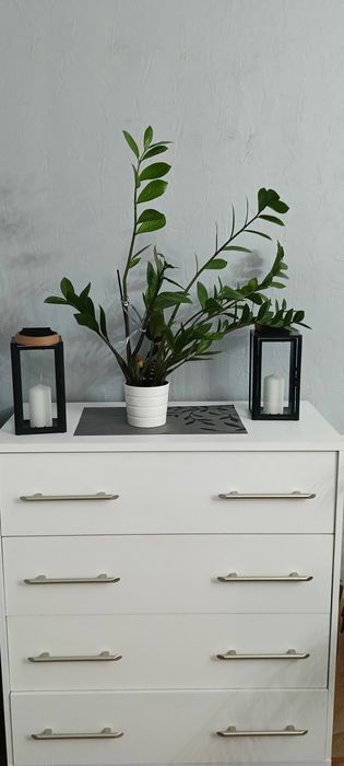 Okazja Zestaw mebli komody i witryn