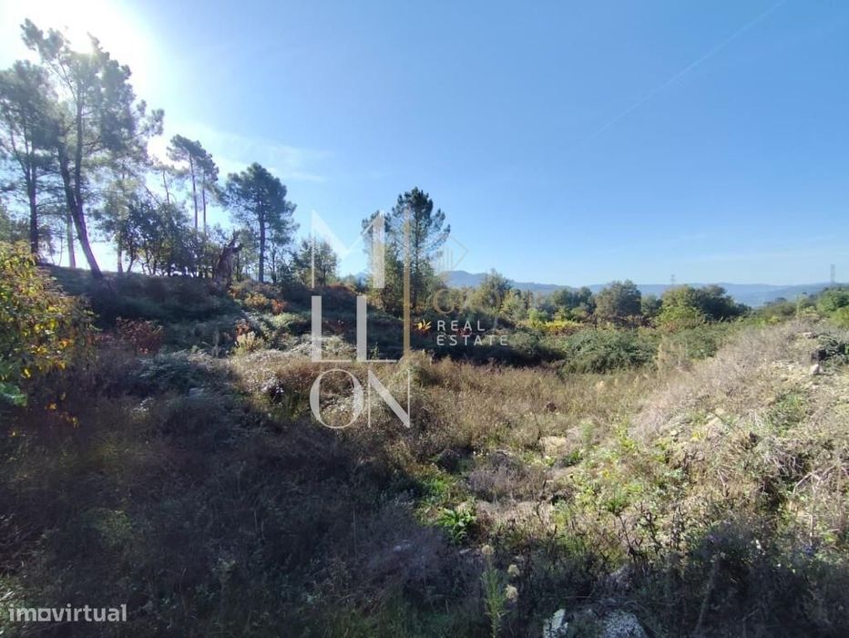 Terreno com 3.699M2, viabilidade de construção e venda em Arcos de Val — Couto, Viana do Castelo