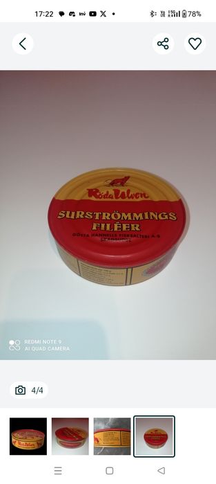 Śledź kiszony Surstromming