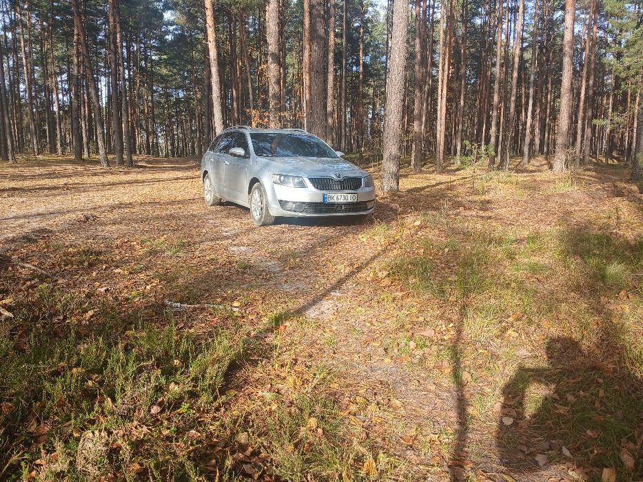 Skoda Octavia 2017 VIN TMBJJ7NE3H0170380 фото оголошення 4 з 24