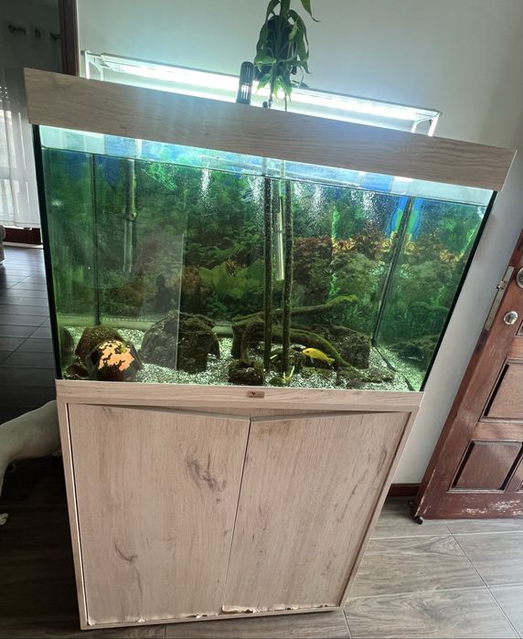 Aquario completo Aquatlantis 146L