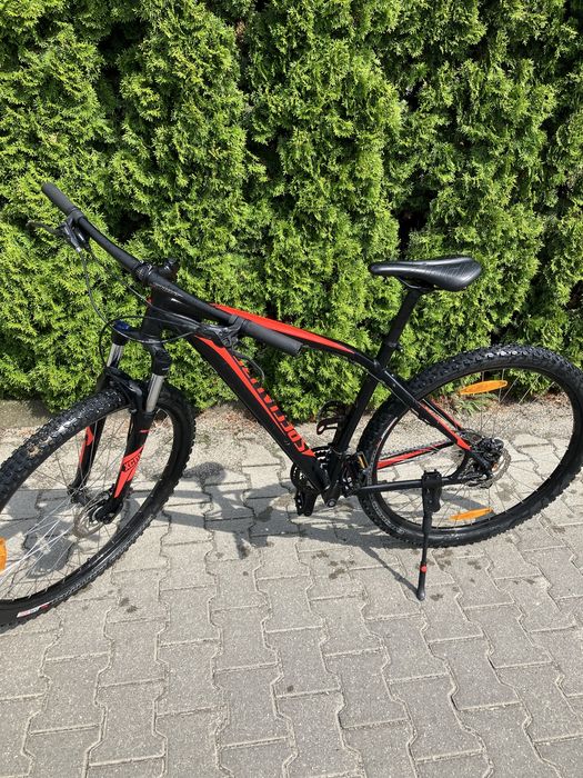 Specialized rockhopper L 29”
