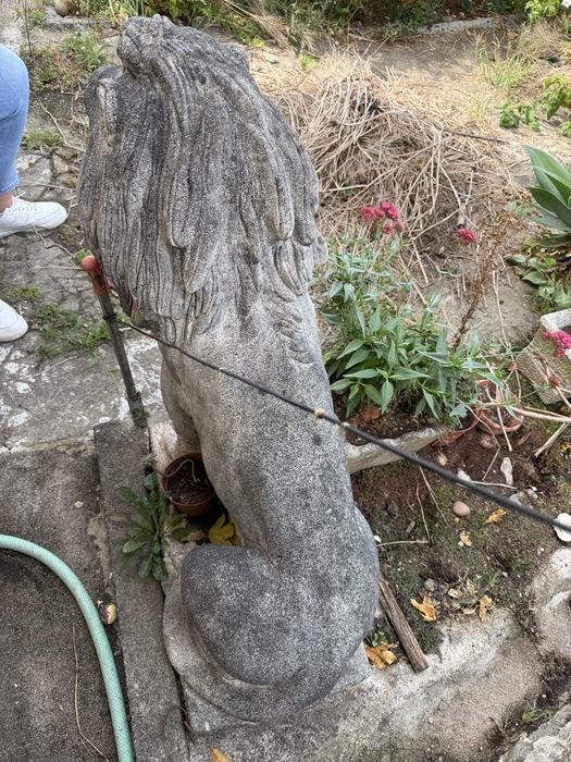 Estatua de leao
