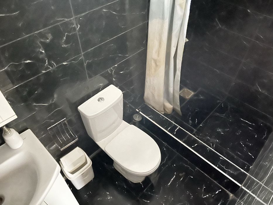 Продам дім 76 м2 приват ділянка 25 сот Велика Бийгань вул. Головна