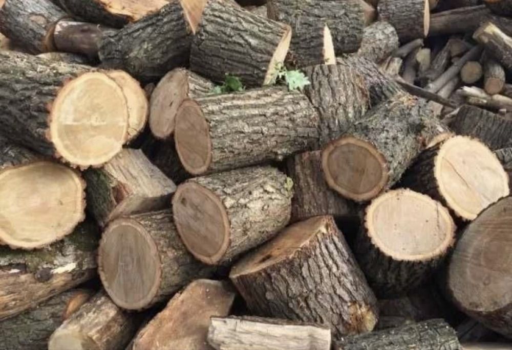 Продам дрова Харьковская Сумская обл