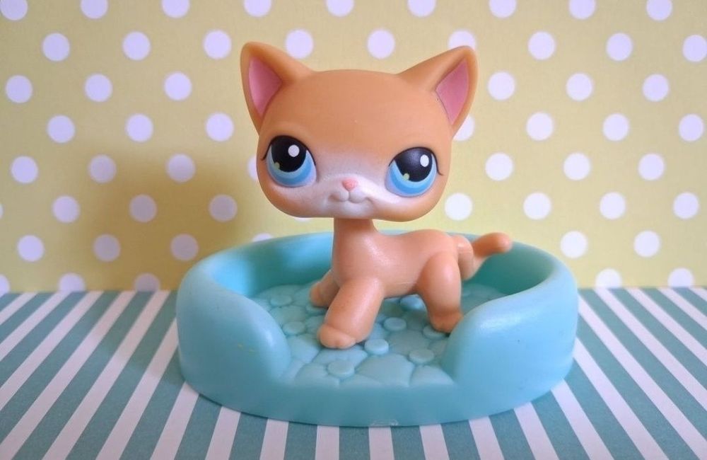 Littlest Pet Shop LPS unikatowy kot Shorthair #71 pop Lublin •