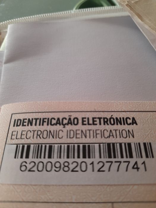 Buldogue Francês  MACHINHO