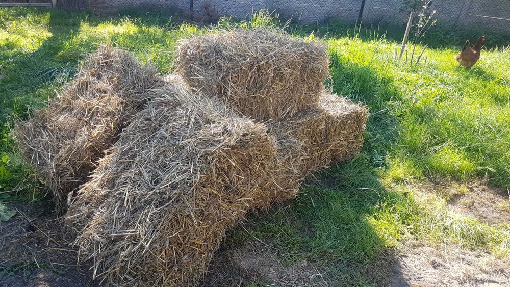 Siano słoma kostki event impreza firmowa Dostawa