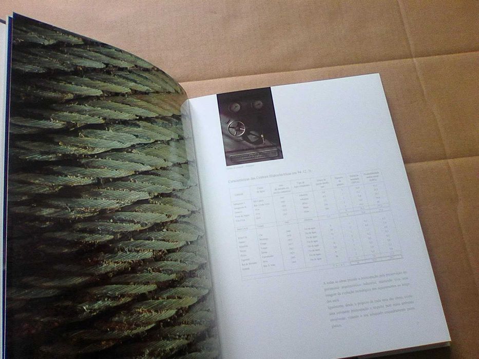 Hidrocenel: um olhar sobre os aproveitamentos hidroeléctricos