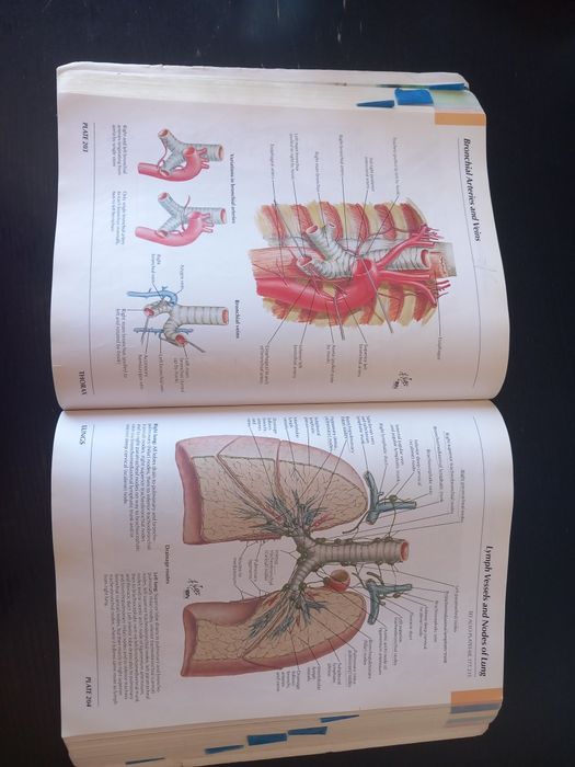 Atlas de anatomia