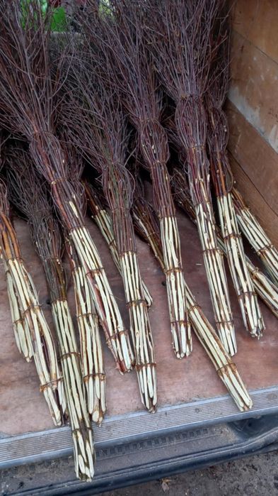 Sprzedam miotły brzozowe oraz kosze wiklinowe z