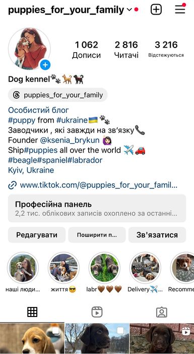 Бігль. Розплідник