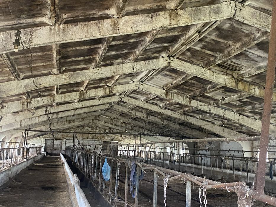 Продам корівник, Клюшечник 21й, 18й