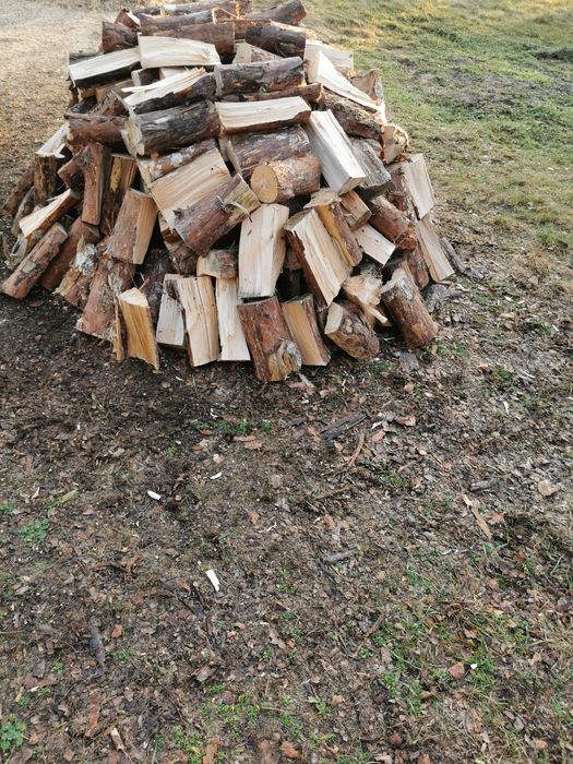 Drzewo opałowe ==> Dąb, sosna