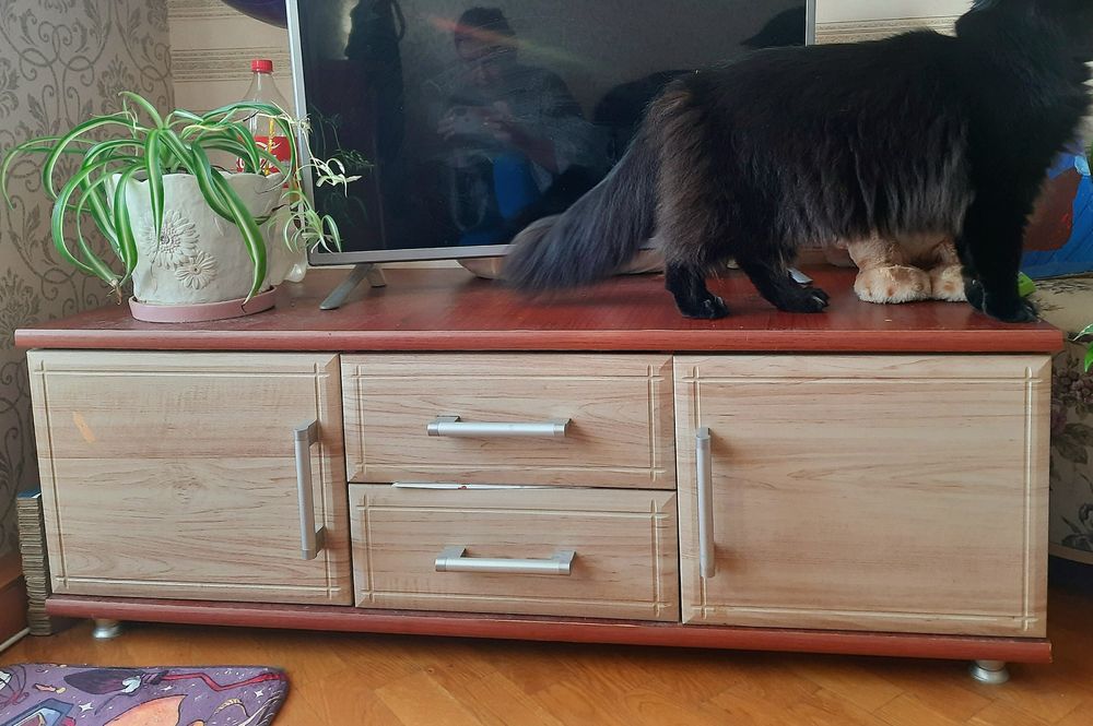 Тумба під телевізор