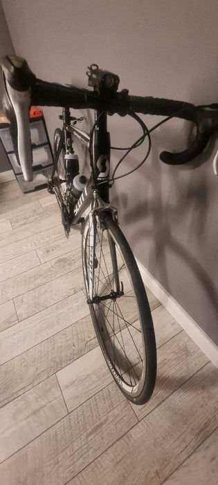 Rower szosowy Scott Speedster 50 L