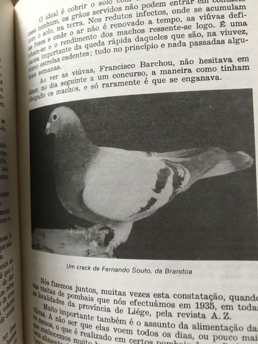 Curso de Columbofilia edição de mundo columbófilo