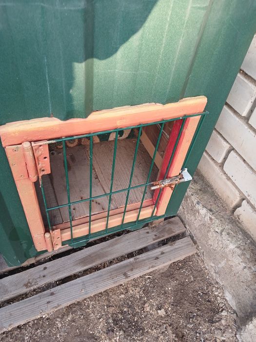 Будка для собаки