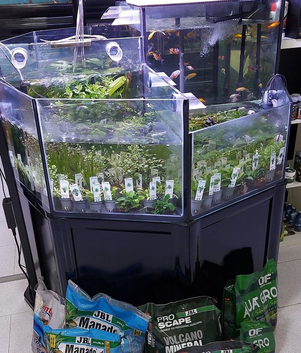 Bateria de aquários Cascata