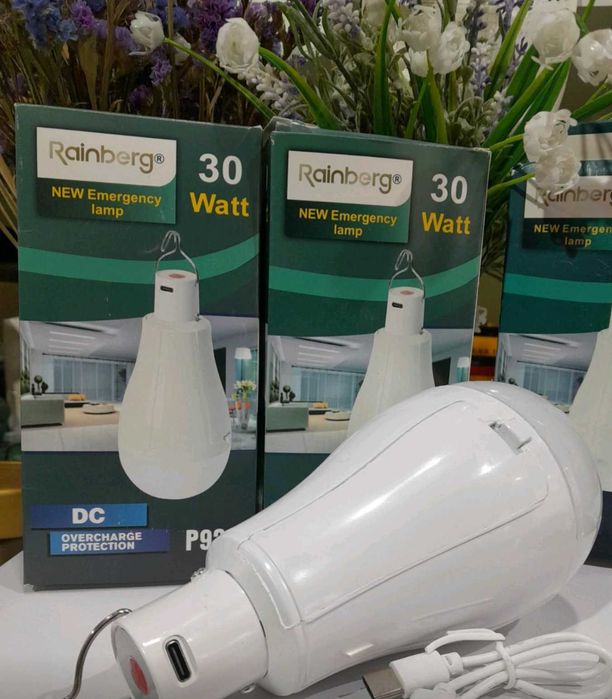 Ліхтар-лампа кемпінговий  Р921 ( 30W, 2 змінних акумулятора) *300грн*