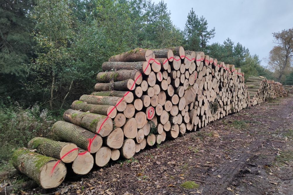 Drewno kominkowe opałowe