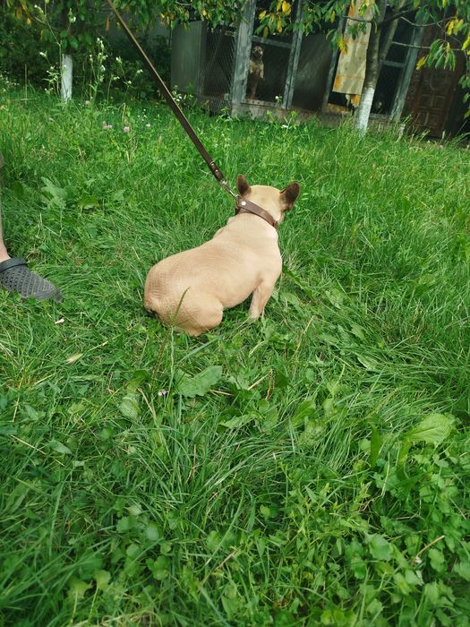 Чудова дівчинка готова переїхати в люблячу сім'ю