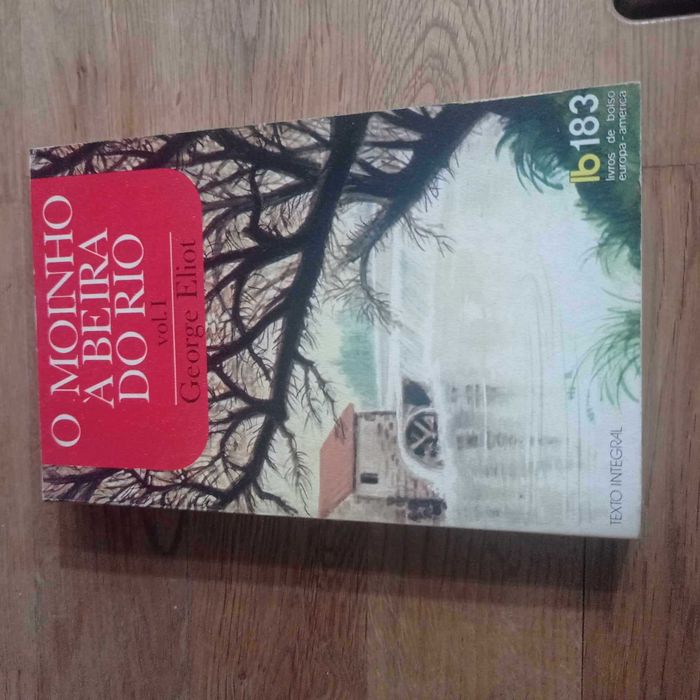 vendo livro O moinho a beira do rio