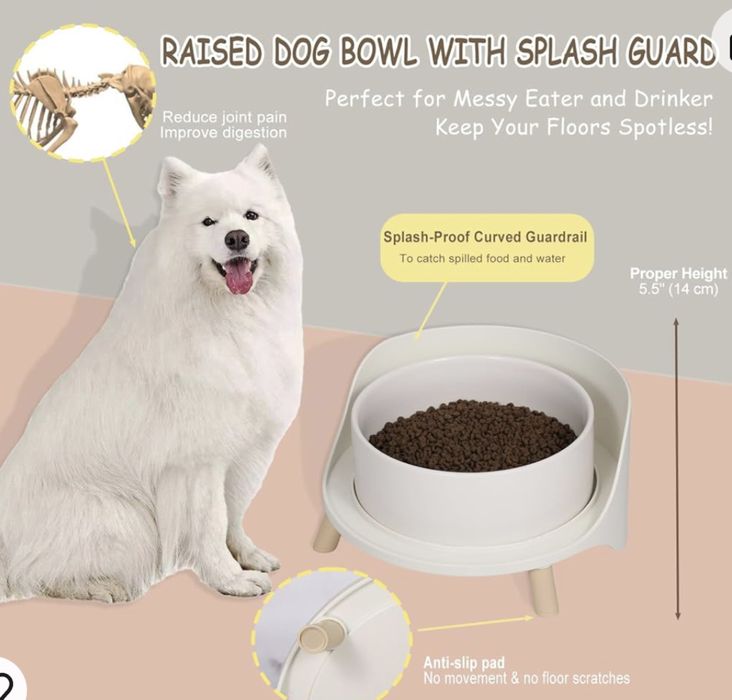 Ceramiczna miska dla psa