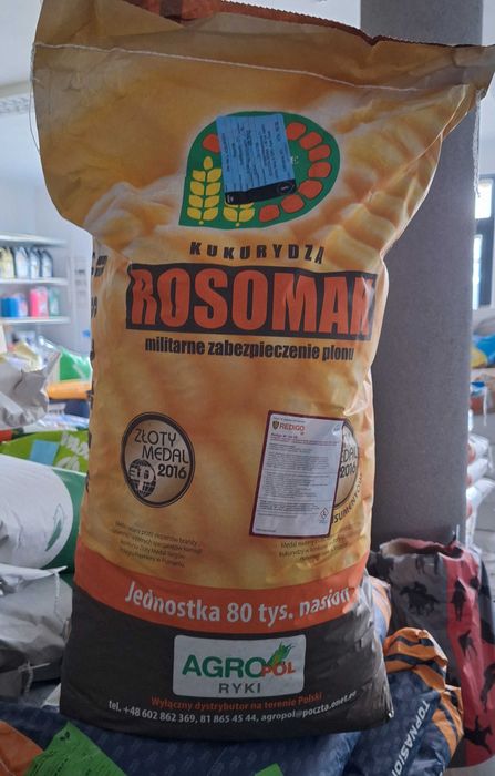 Kukurydza ROSOMAK , DANUBIO i inne Wysyłka