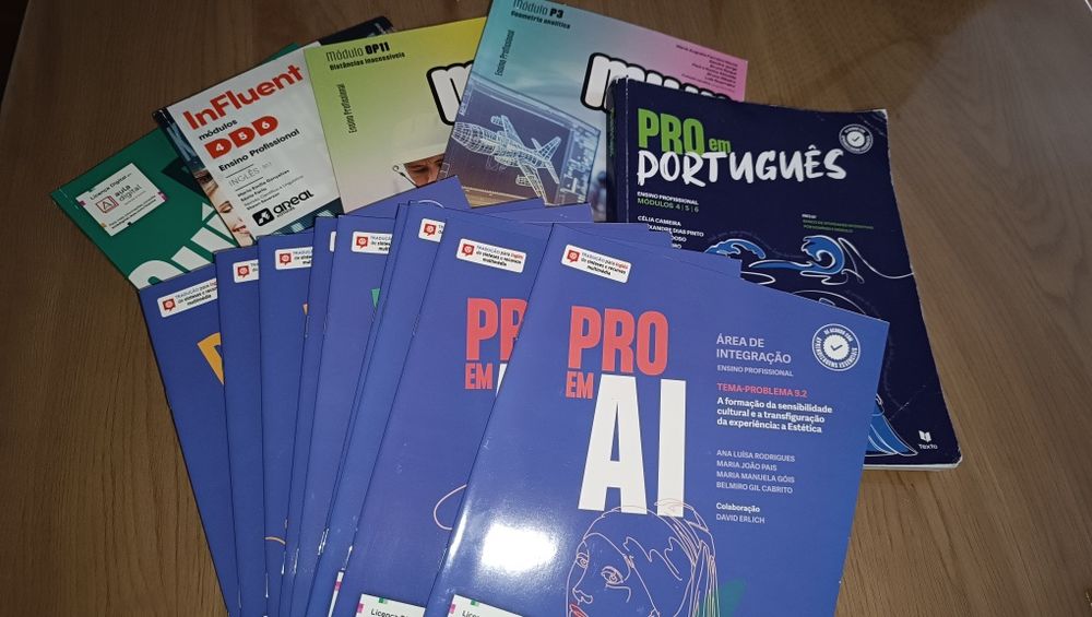 Manuais curso profissional 11 ano