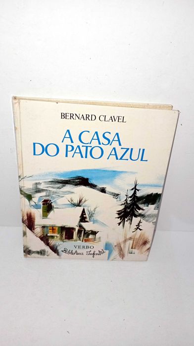 A Casa do pato Azul - Biblioteca Infantil