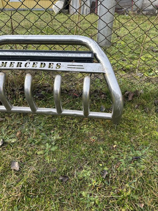 Кінгурятнік на віто 639