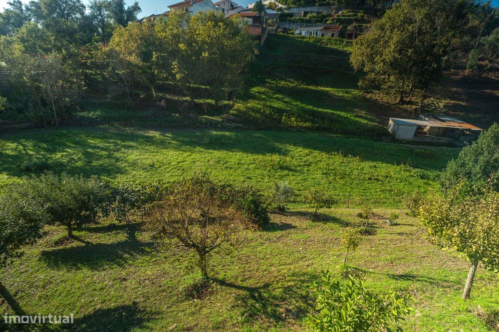 Terreno em Macinhata do Vouga