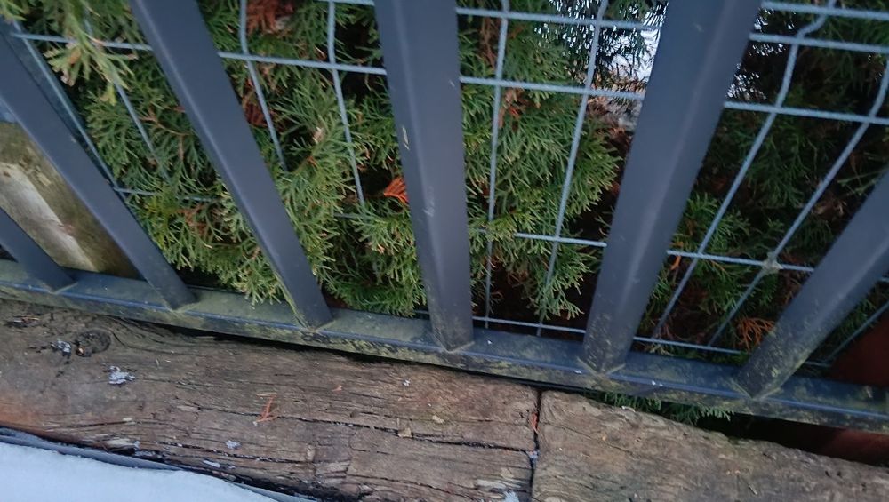 Brama 2 skrzydłowa 4m