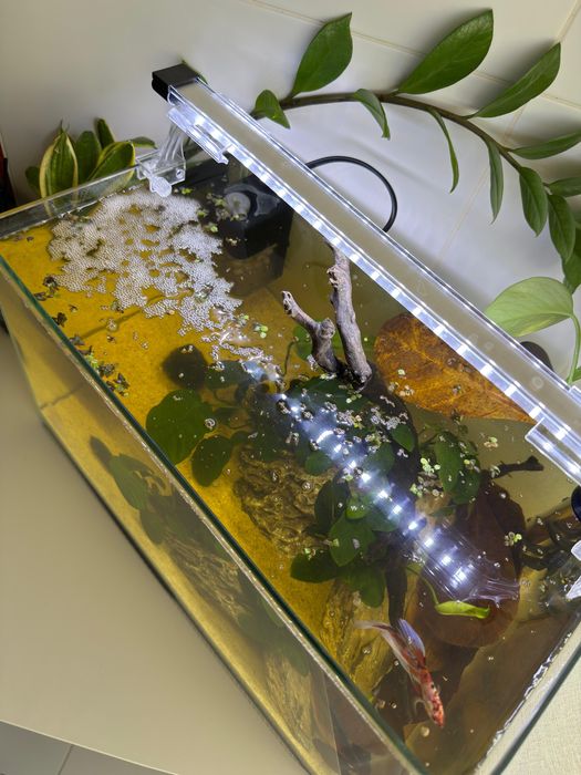 Kit completo - Aquario - Aquascaping 40x23x24
