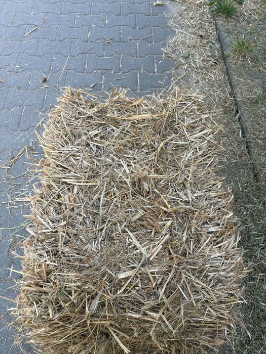 Sprzedam Słomę. Zgierz Polecam.