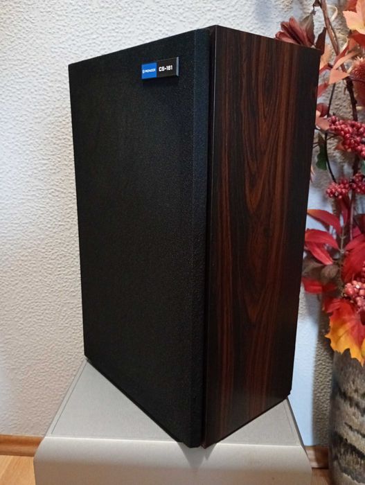 Kolumny Pioneer CS-161