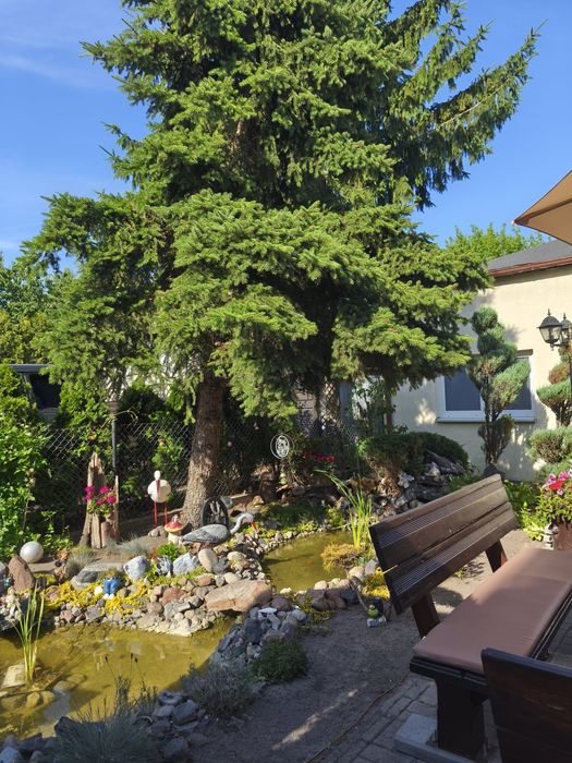Apartament na Doby