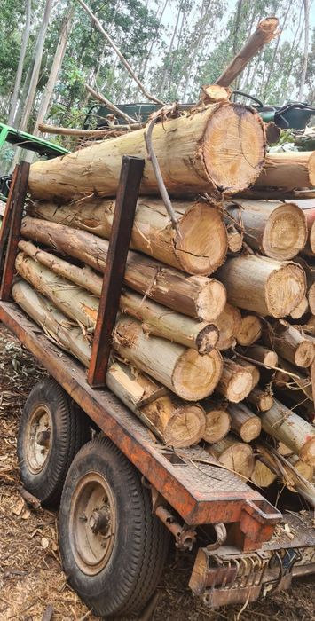 Limpeza florestais  ,terrenos e outros