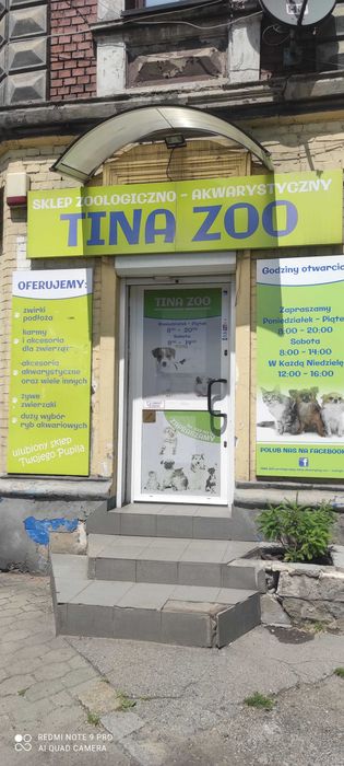 Mysz -  TINA ZOO Zabrze