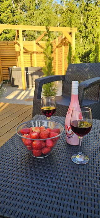 Domki wakacyjne Wygonin LuzzBluss