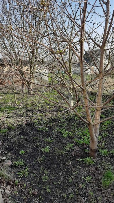 .Продаж двоповерхової дачі біля води  у ДК " Чайка".
