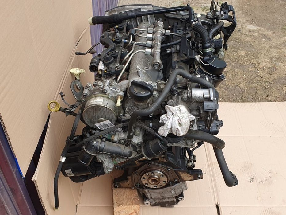 ヘルニア 1000008598-247x296.jpg