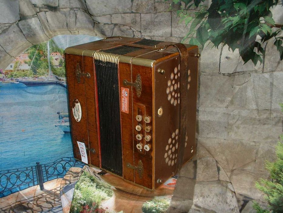 Concertina Avenda N .1037