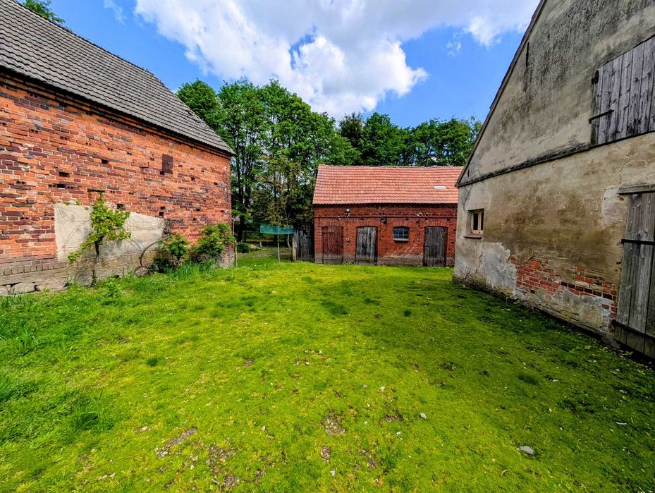 Dom – Miłogoszcz - Widok 2