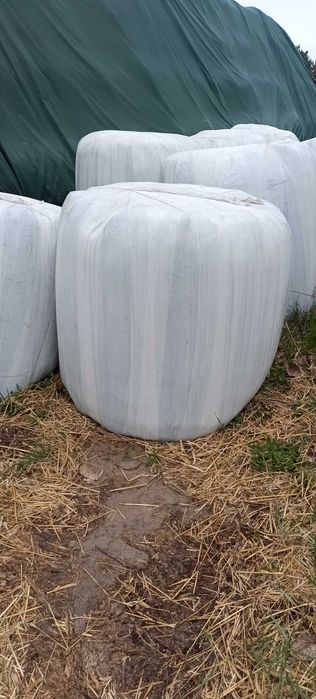 Sprzedam sianokiszonki