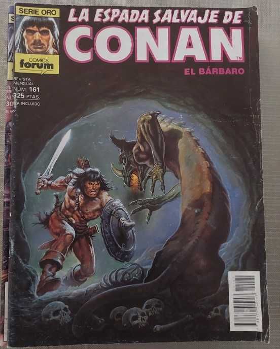 La Espada Salvaje De Conan